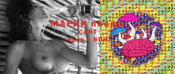 каннабис Аркадак