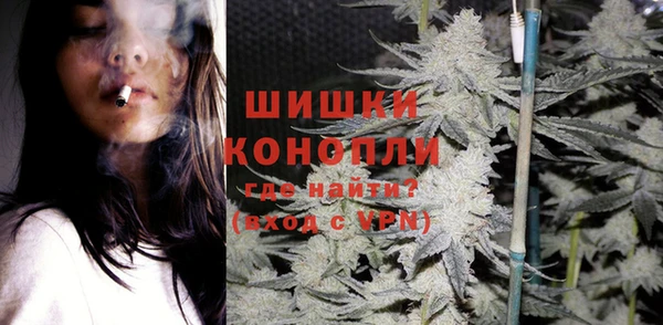 спайс Арсеньев
