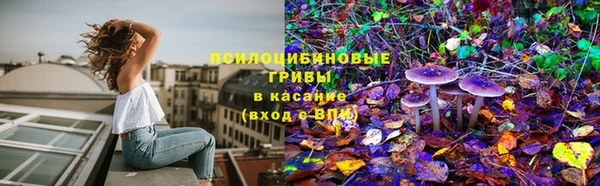 каннабис Аркадак