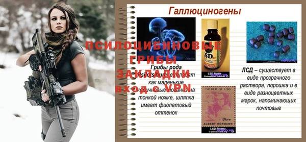 каннабис Аркадак