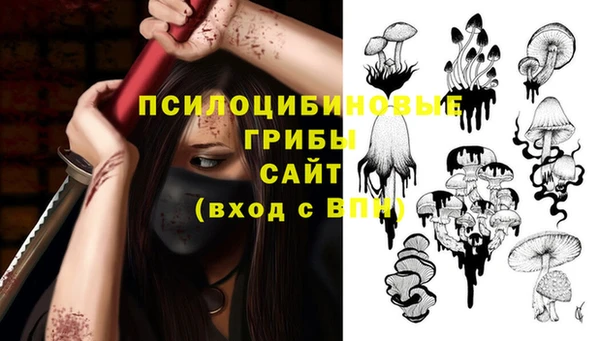 спайс Арсеньев